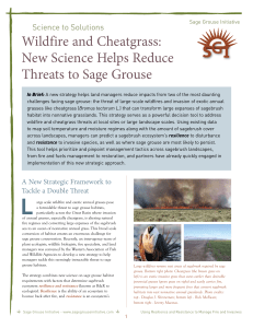 Wildfire and Cheatgrass - Sage Grouse Initiative