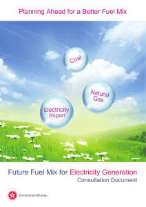 Future Fuel Mix for Electricity Generation