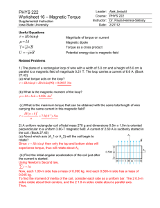 PHYS 222 Worksheet 16 – Magnetic Torque