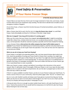 If Your Home Freezer Stops