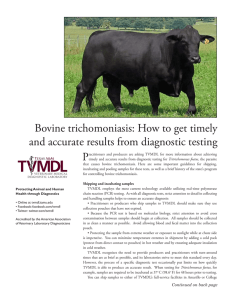 Bovine trichomoniasis: How to get timely and accurate results from