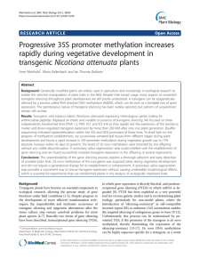 Progressive 35S promoter methylation increases rapidly during