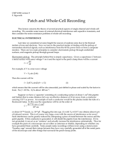 Patch and Whole-cell Recording