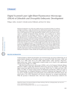 Digital Scanned Laser Light-Sheet Fluorescence Microscopy (DSLM