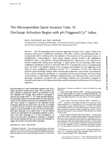 The Microsporidian Spore Invasion Tube. IV. Discharge Activation