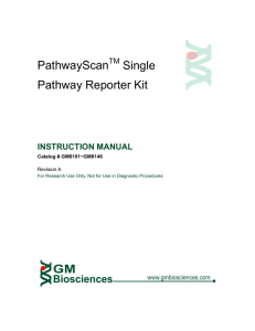 PathwayScan Single Pathway Reporter Kit