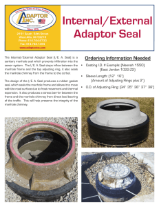 Internal/External Adaptor Seal