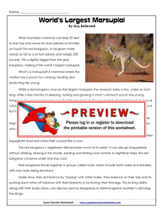 World`s Largest Marsupial - Super Teacher Worksheets