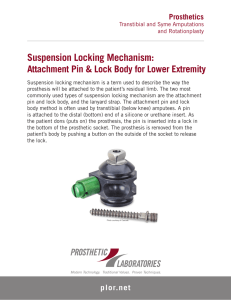 Suspension Locking Mechanism: Attachment Pin and Lock Body for