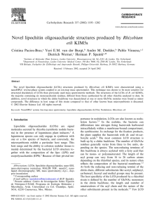 Novel lipochitin oligosaccharide structures produced by Rhizobium