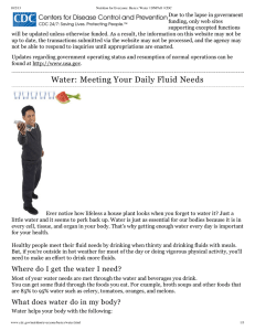 Water: Meeting Your Daily Fluid Needs