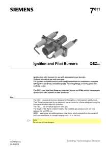 Ignition and Pilot Burners QSZ