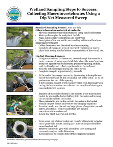 Wetland Sampling Steps to Success: Collecting