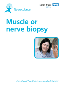 Muscle or nerve biopsy - North Bristol NHS Trust
