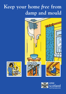 Keep your home free from damp and mould