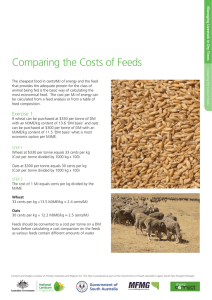 Comparing the Costs of Feeds