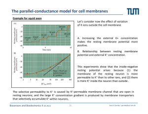 The parallel-conductance model for cell membranes