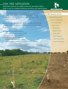 Oak Tree Mitigation - Restoration Resources