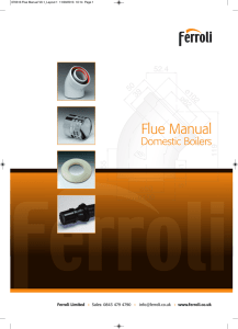 Flue Manual