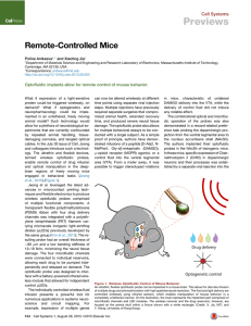 Remote-Controlled Mice - Rogers Research Group