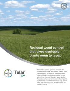 Telar XP Herbicide Product Sheet | Backed By Bayer