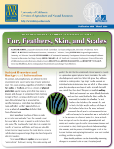Fur, Feathers, Skin, and Scales