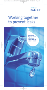 Leaks Brochure FINAL