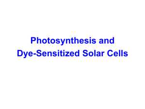 Overview of photosynthesis and dye
