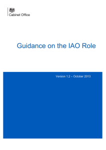 Guidance on the IAO Role