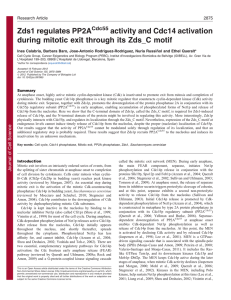 Zds1 regulates PP2A activity and Cdc14 activation during mitotic exit