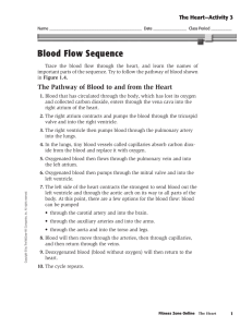 Blood Flow Sequence