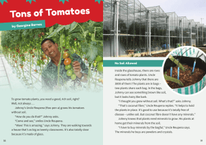 Tons of Tomatoes - Literacy Online