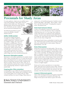 Perennials for Shady Areas - Extension Store