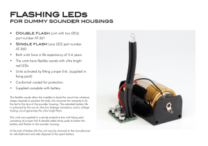 FLASHING LEDs - Bentley Security Projects