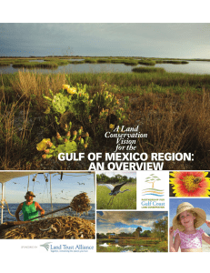 A Land Conservation Vision for the Gulf of Mexico Region