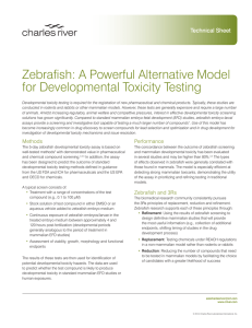 A Powerful Alternative Model for Developmental Toxicity Testing