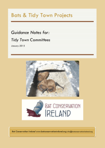 Tidy Towns - Bat Conservation Ireland