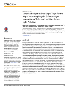 Lamp-Lit Bridges as Dual Light-Traps for the Night