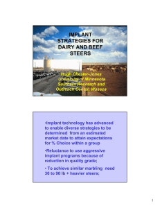 implant strategies for dairy and beef steers