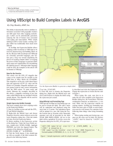 Using VBScript to Build Complex Labels in ArcGIS