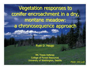 Vegetation Responses to Conifer Encroachment