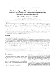Virulence of Spanish Phytophthora nicotianae isolates towards