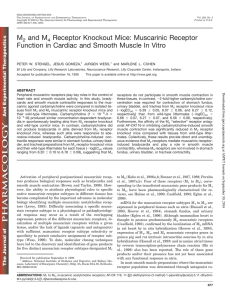M2 and M4 Receptor Knockout Mice - Journal of Pharmacology and