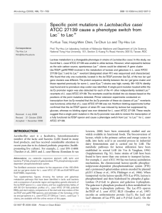 Specific point mutations in Lactobacillus casei ATCC 27139 cause a