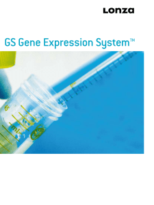 The GS Gene Expression System