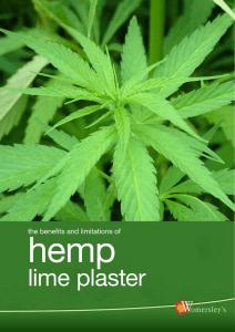 plastering with hemp lime