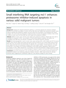 Small interfering RNA targeting mcl