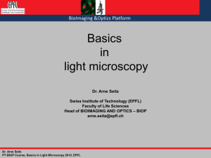 Basics in light microscopy - BIOP