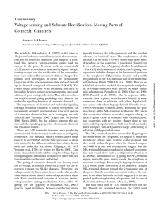 Commentary Voltage-sensing and Substate Rectification: Moving