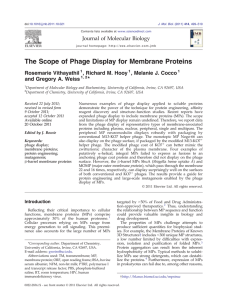 The Scope of Phage Display for Membrane Proteins